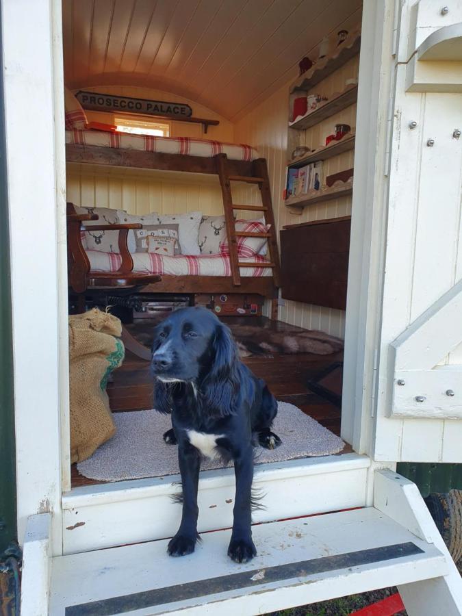 The Delkin Shepherds Huts 캐슬쿰 외부 사진